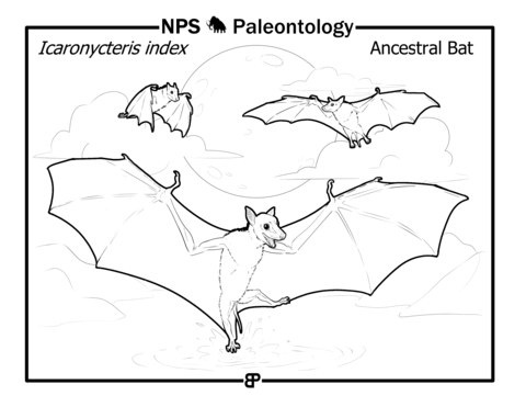 Prehistoric Bat (Icaronycteris Index) Coloring Page